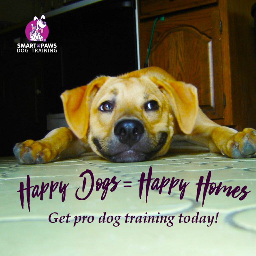 SPDT-instagram-campaign3