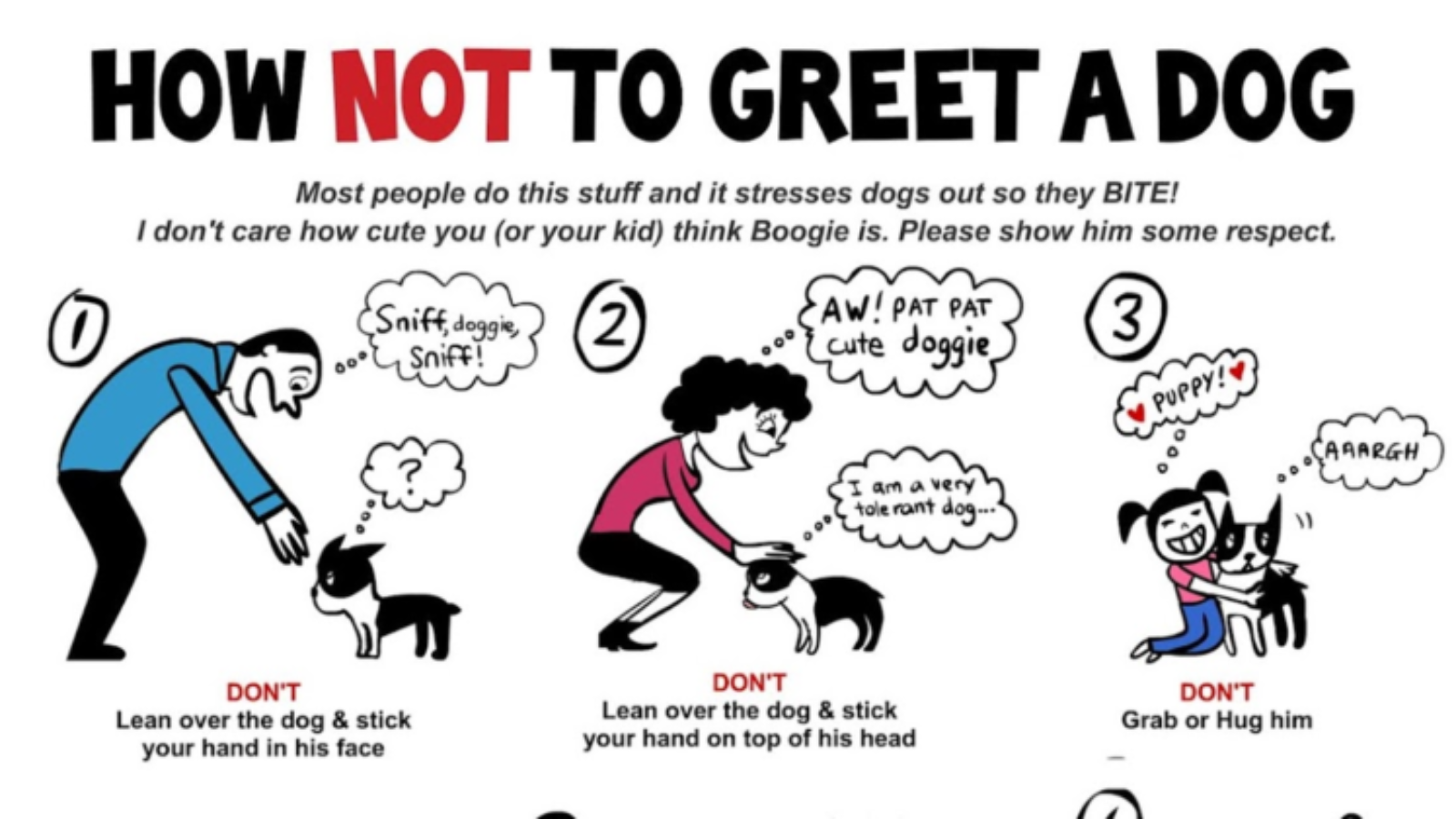 how not to pet a dog