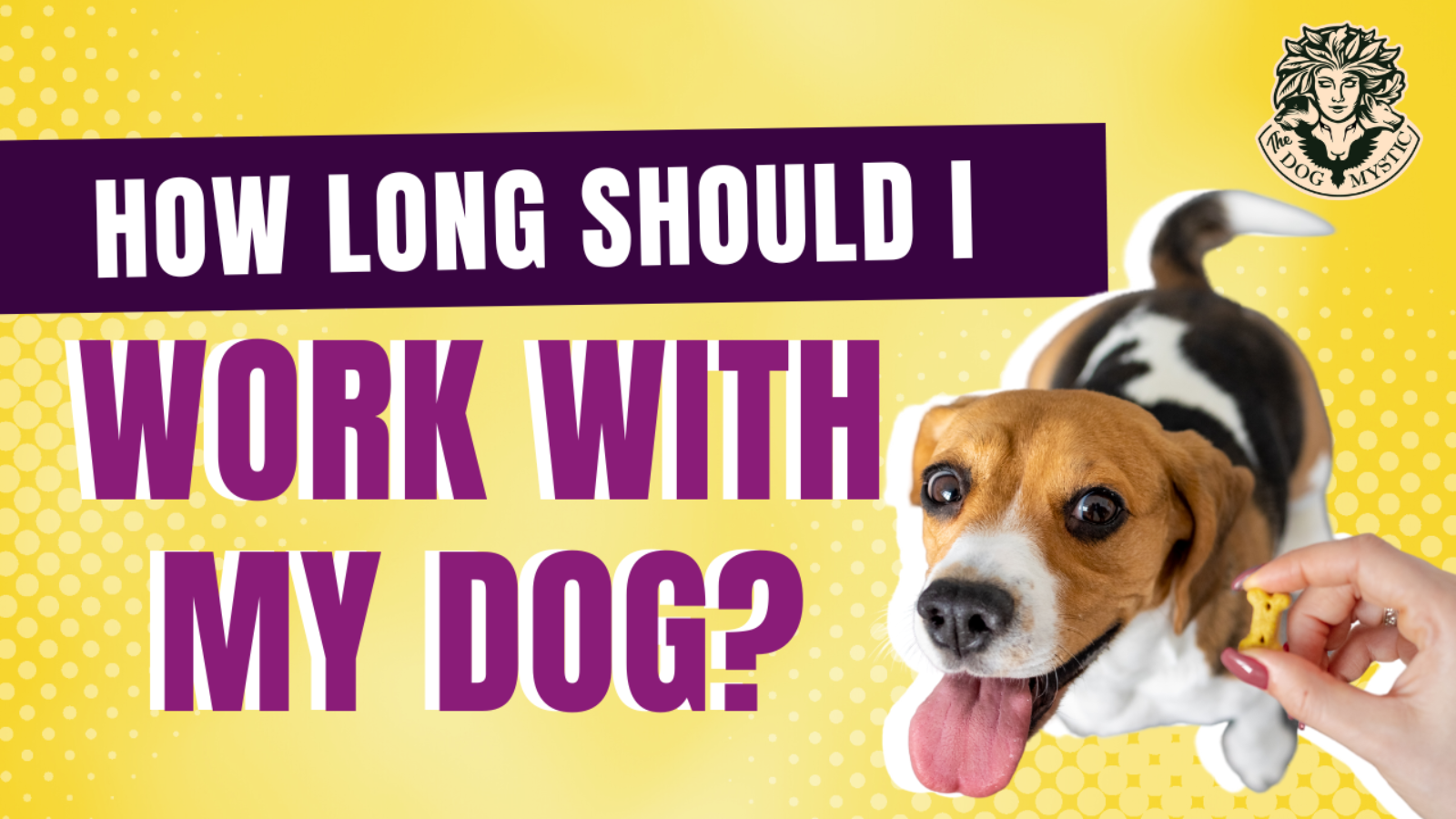 How Long Should I Work With My Dog