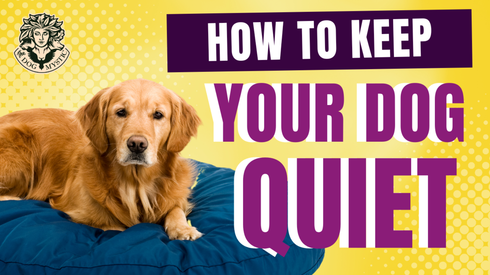 How To Keep Your Dog Quiet