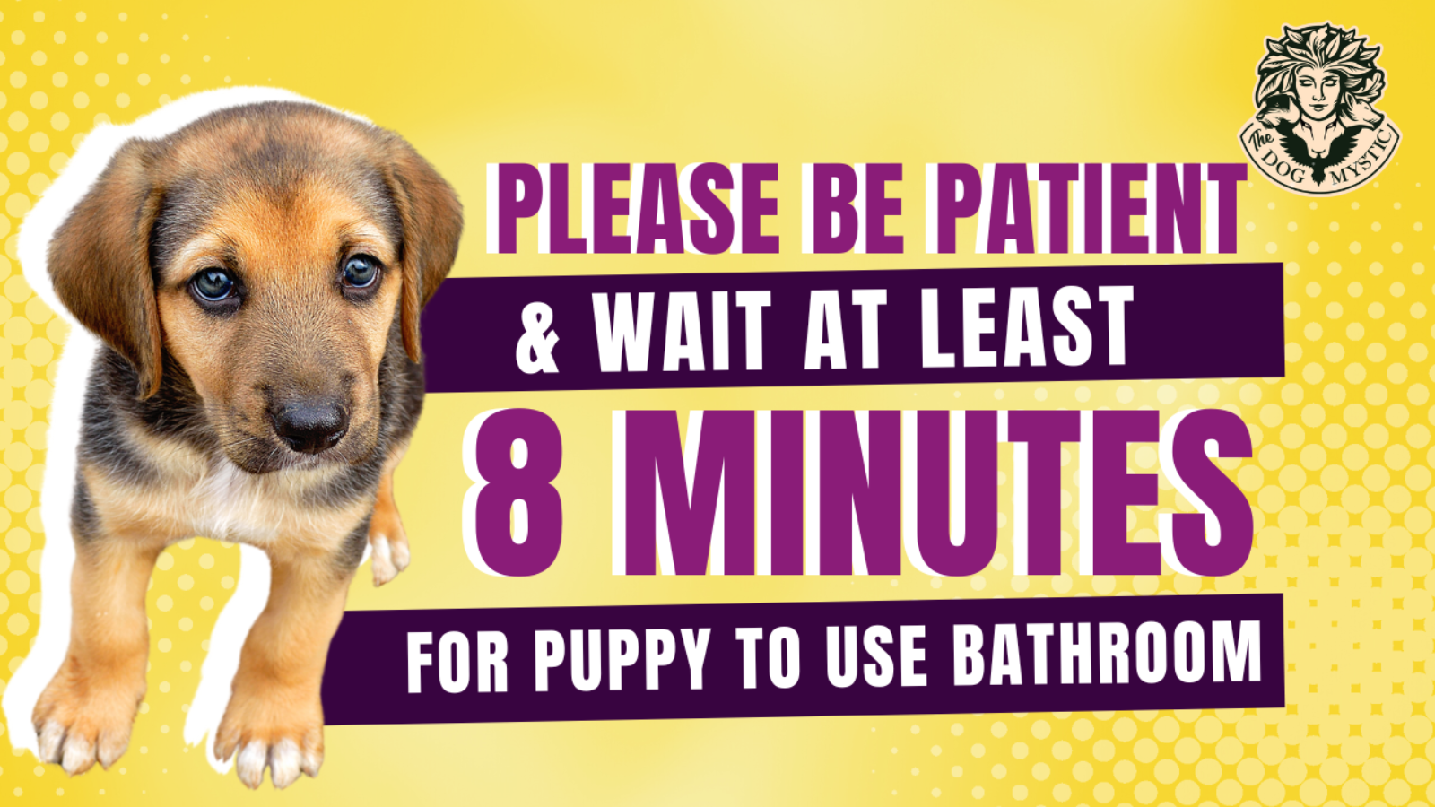 Please Be Patient & Wait At Least 8 Minutes For Your Puppy To Use The Bathroom!