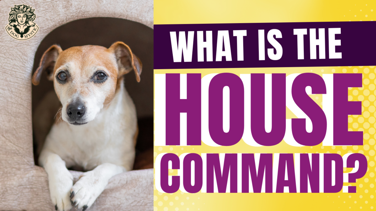 What is the Houde Command