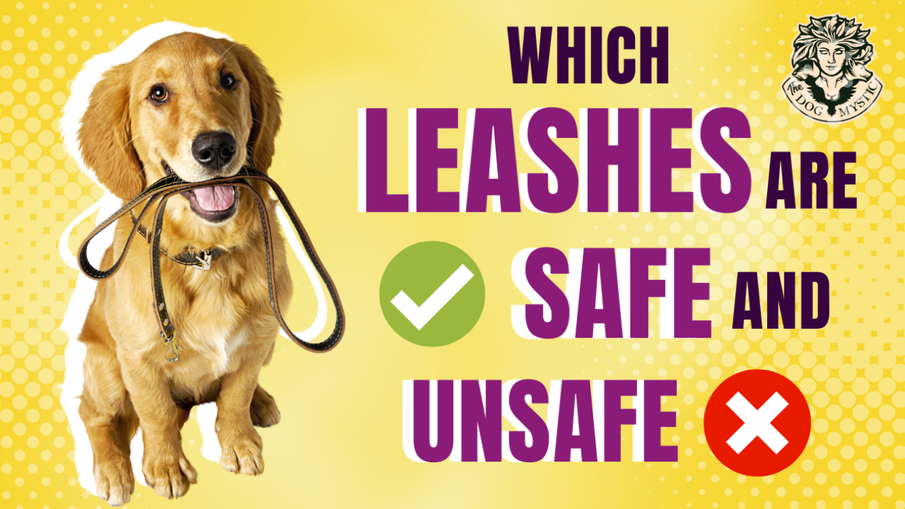 Which Leashes Are Safe & Unsafe